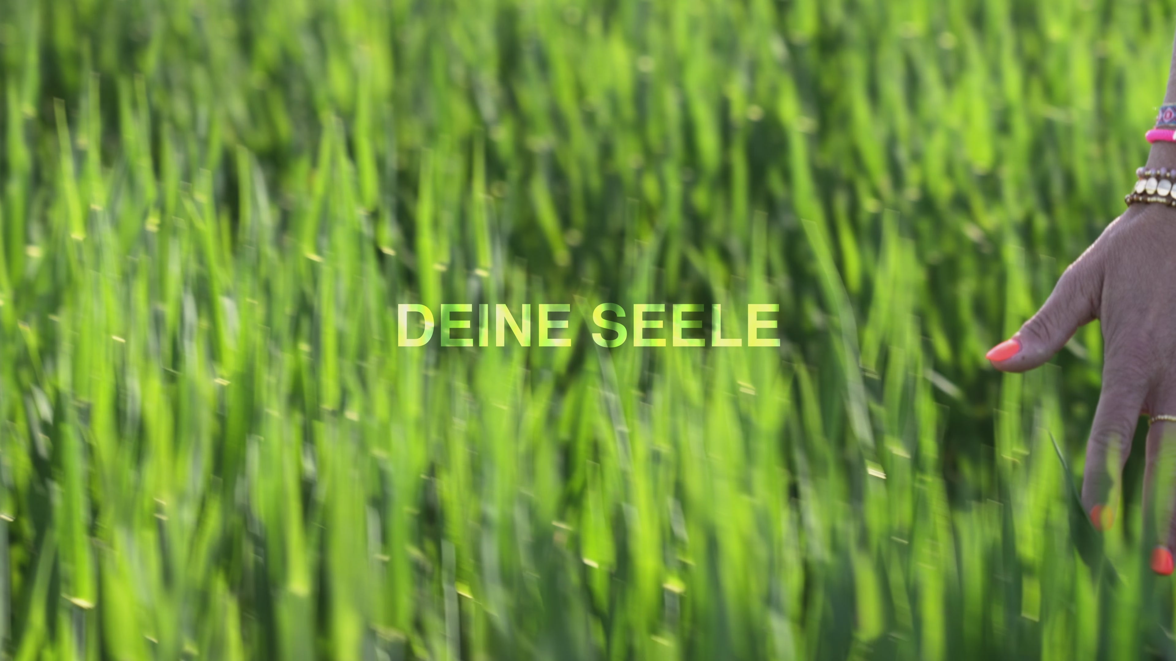 Video laden: