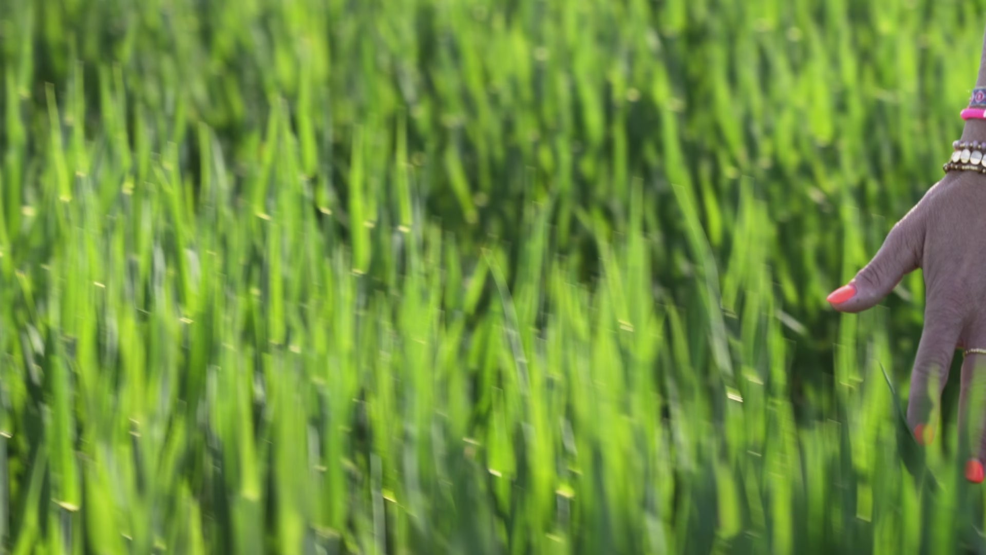 Video laden: