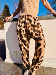 Big Leo Pant Hose Leoprint hell oder dunkel, lang oder Bermuda