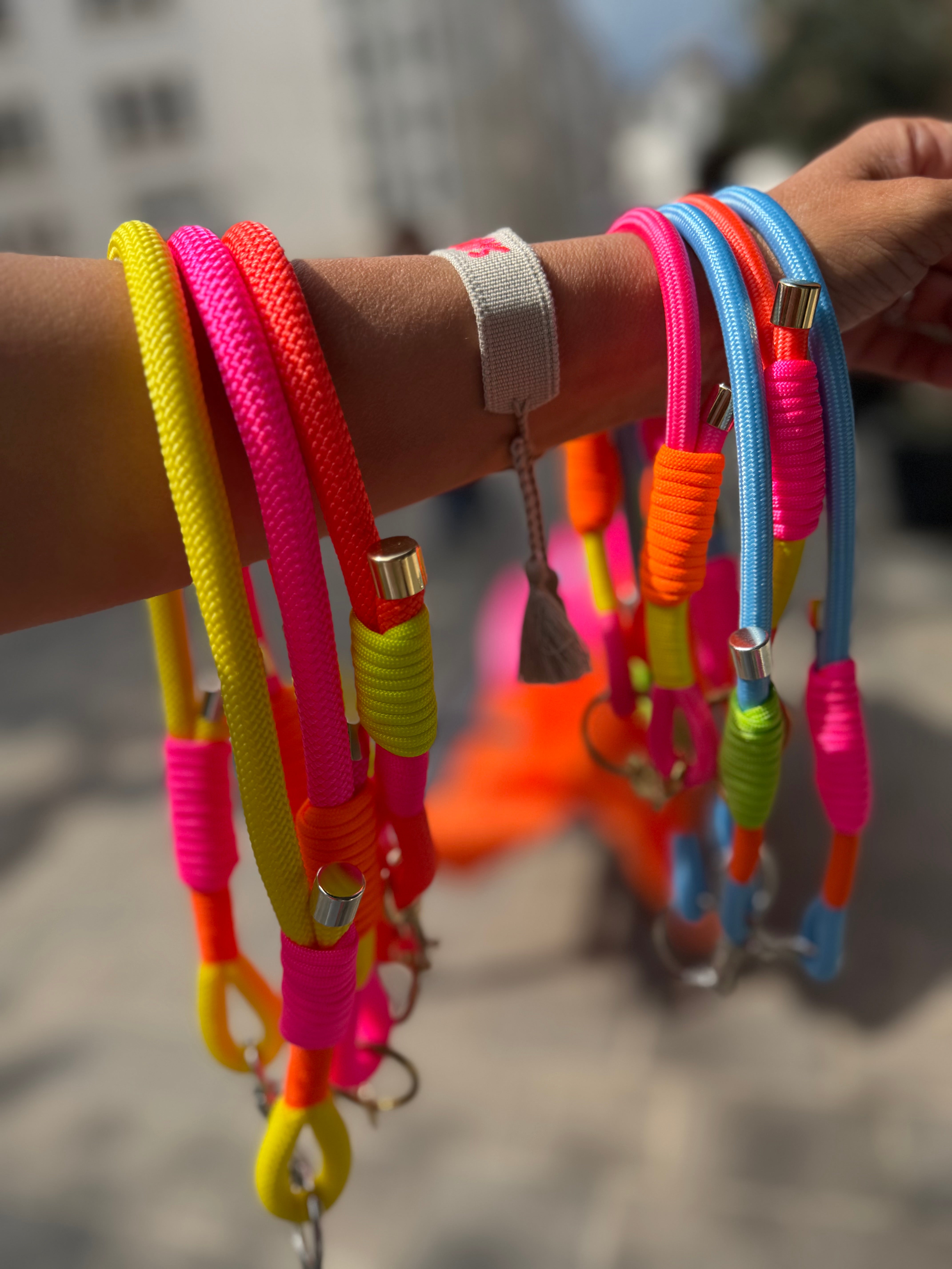 Neon Hunde Halsband „Bäm“