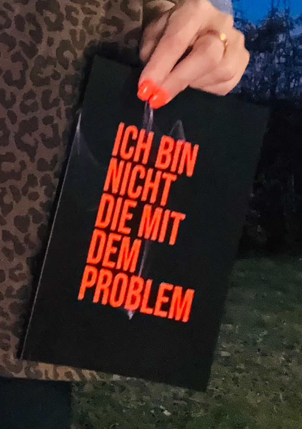 Notizbuch ICH BIN NICHT DIE MIT DEM PROBLEM