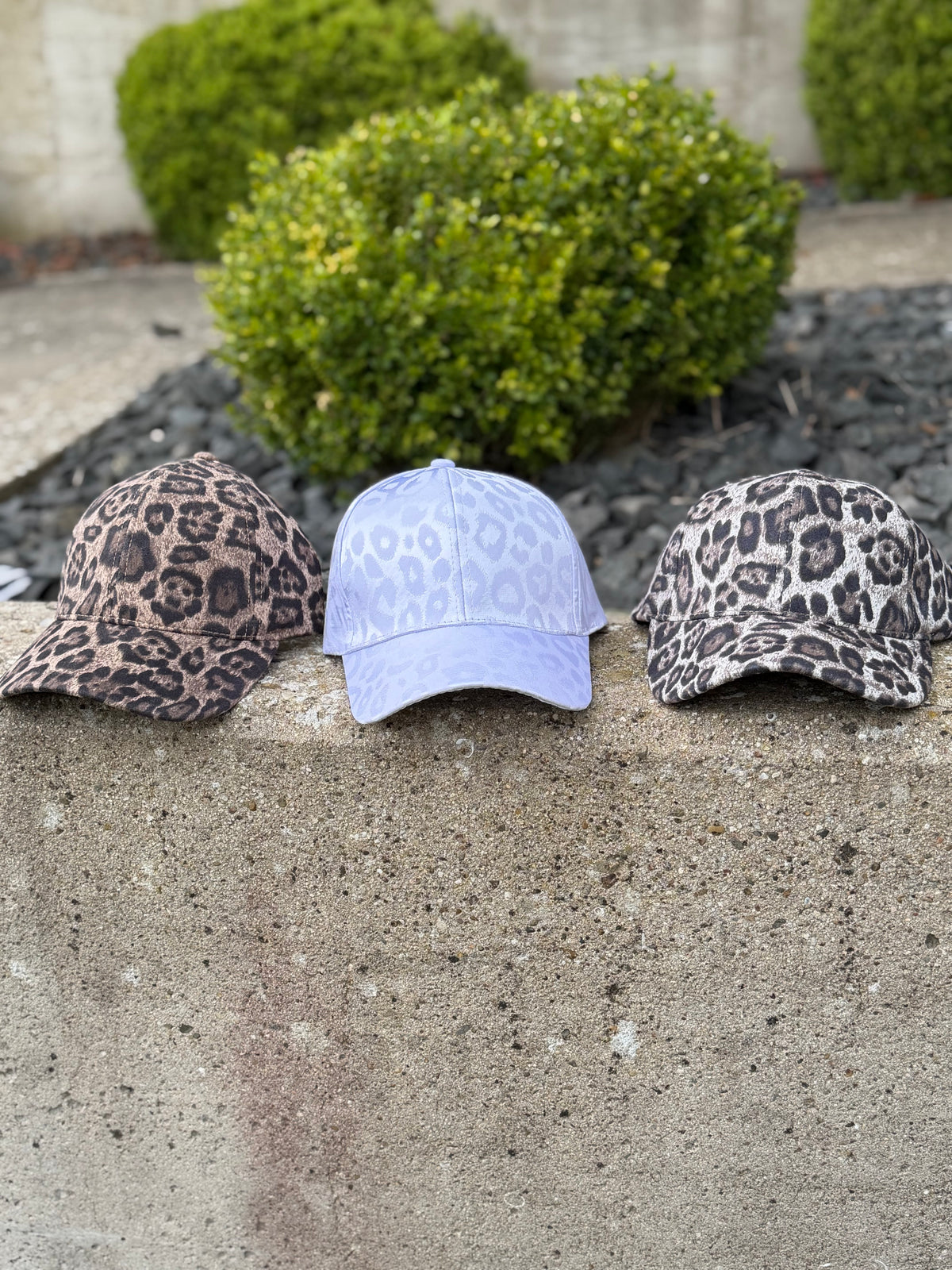 THE (one and only) Leo CAP, 3 Farben