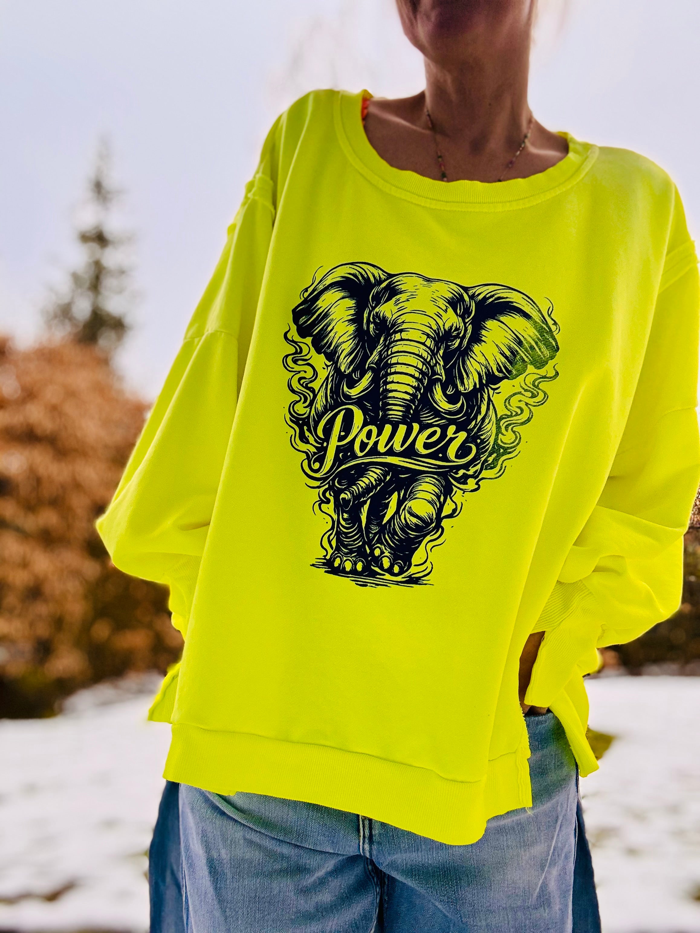Lieblings Oversize Sweatshirt Elefant POWER NEON