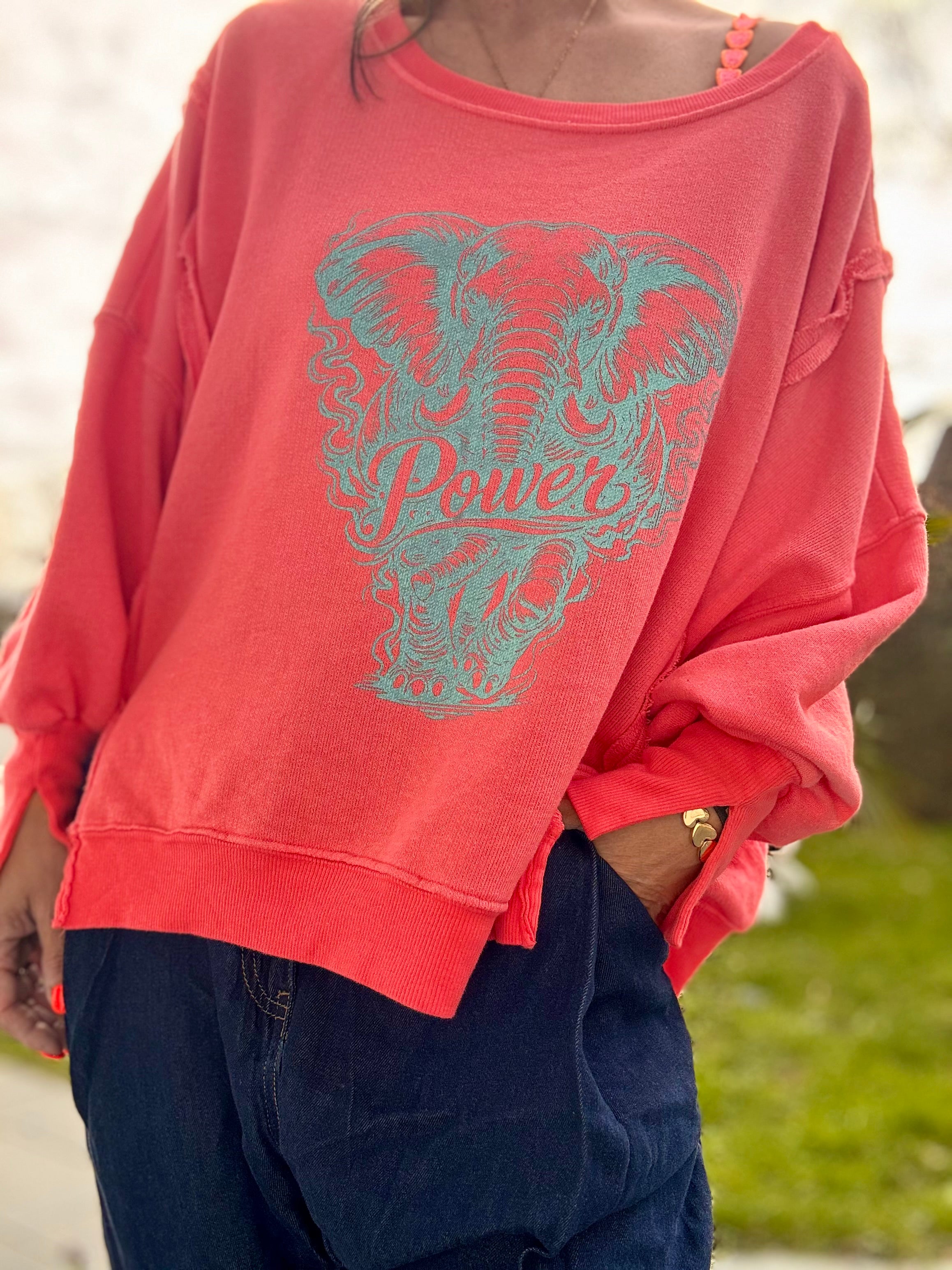 Lieblings Sweatshirt Power Elefant