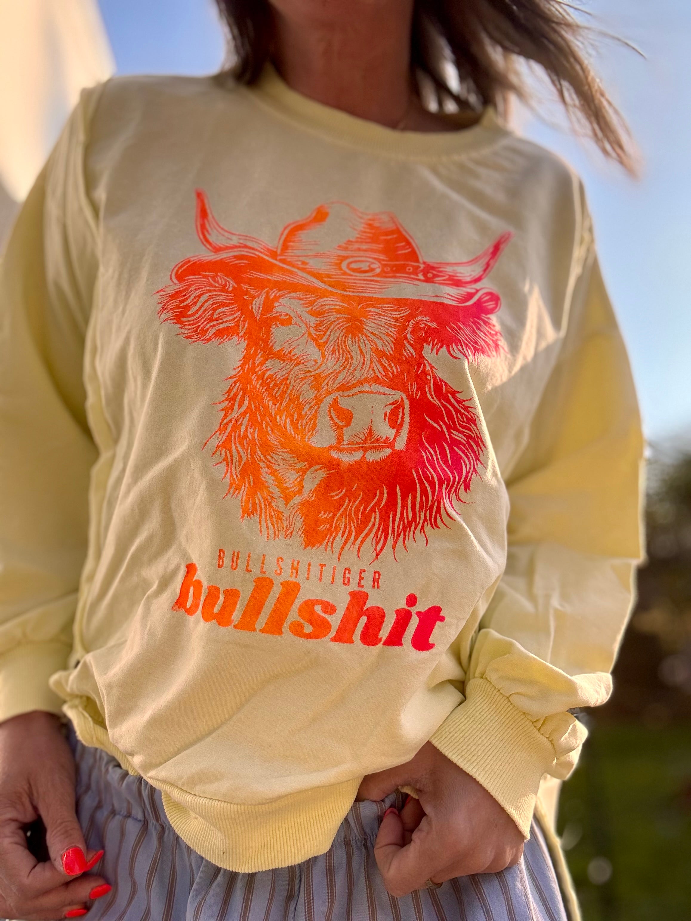 Sweatshirt bullshitiger Bullshit